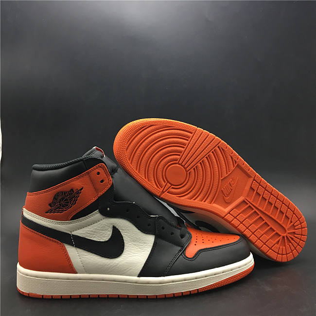 Air Jordan 1 dunk the rebound 5088-005 - 1