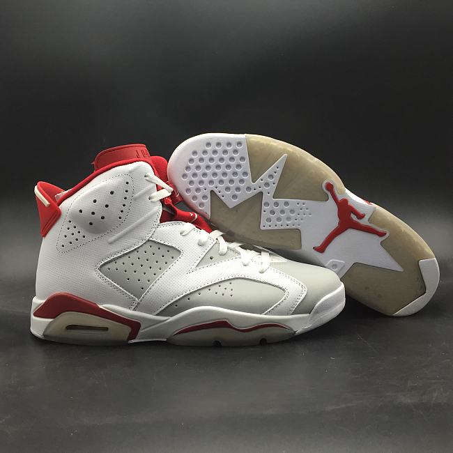 Air Jordan 6 Retro Alternate Hare 384664-113 - 1