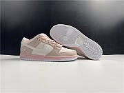 Nike Dunk SB Low Top Elite Pink White BV1310-012 - 2