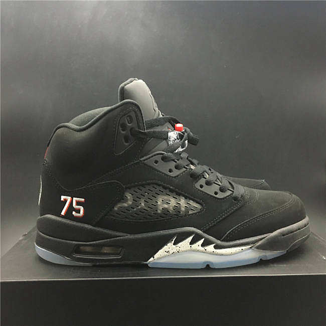 World Cup Air Jordan 5 Paris - 1