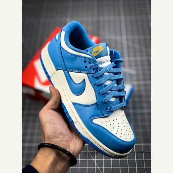 NIKE DUNK LOW COAST DD1503 100