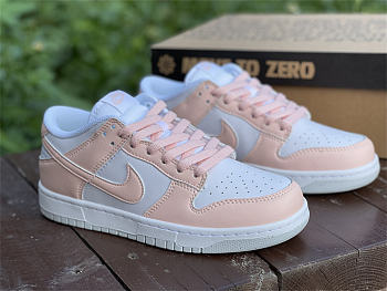 Nike Dunk Low Next Nature Pale Coral (W) DD1873-100