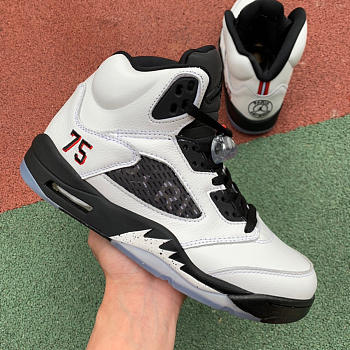 Air Jordan 5 Paris AV9175-101