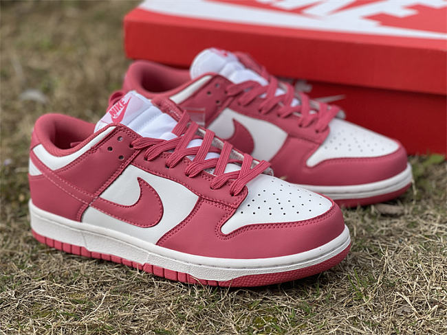 Nike Dunk Low Archeo Pink (W) DD1503-111 - 1