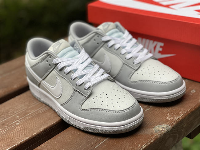 Nike Dunk Low Two Tone Grey DJ6188-001 - 1