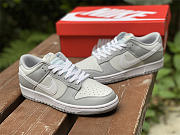 Nike Dunk Low Two Tone Grey DJ6188-001 - 2