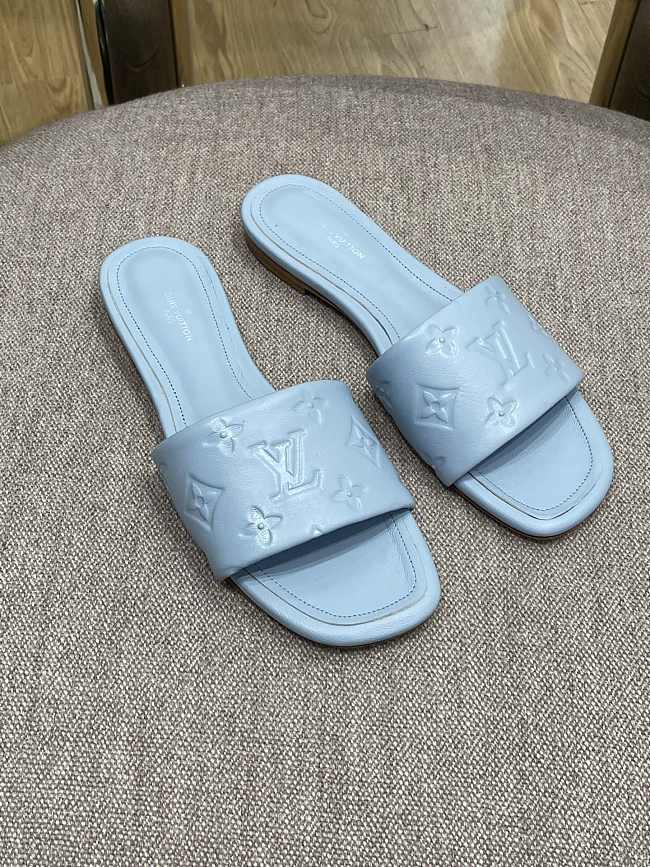 Louis Vuitton Slides 0008 - 1