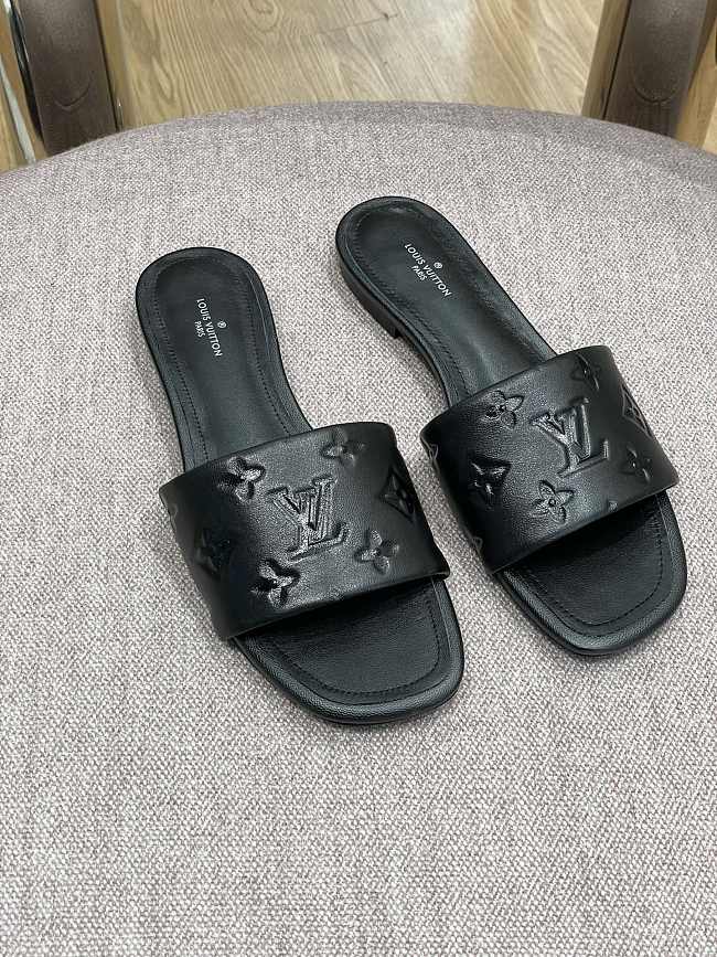 Louis Vuitton Slides 0010 - 1