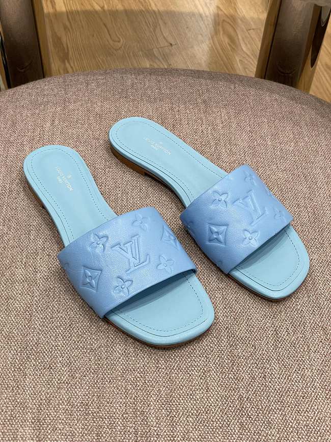 Louis Vuitton Slides 0011 - 1