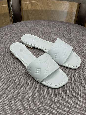 Louis Vuitton Slides 0012