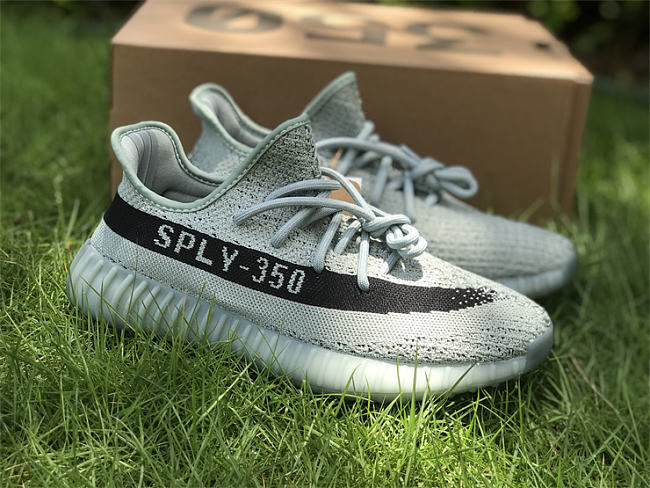 Adidas Yeezy 350 V2 Salt Core Black HQ2060 - 1