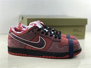 Nike SB Dunk Low Concepts Red Lobster 313170-661 - 1