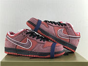 Nike SB Dunk Low Concepts Red Lobster 313170-661 - 3