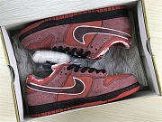 Nike SB Dunk Low Concepts Red Lobster 313170-661 - 2