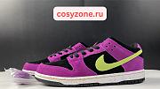 Nike SB Dunk Low Pro ACG Terra Red Plum Black Taxi Citron BQ6817-501 - 1