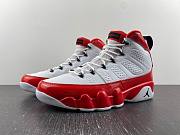 Air Jordan 9 Retro White Gym Red  302370-160 - 1