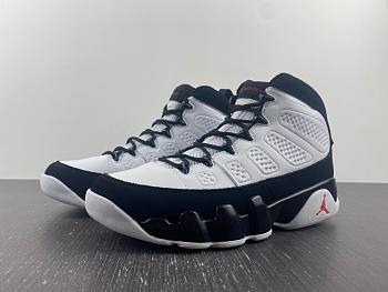 Air Jordan 9 Retro OG (2016) 302370-112