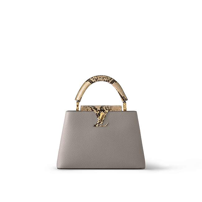 Louis Vuitton N82068 Capucines BB Steeple Gray - 1